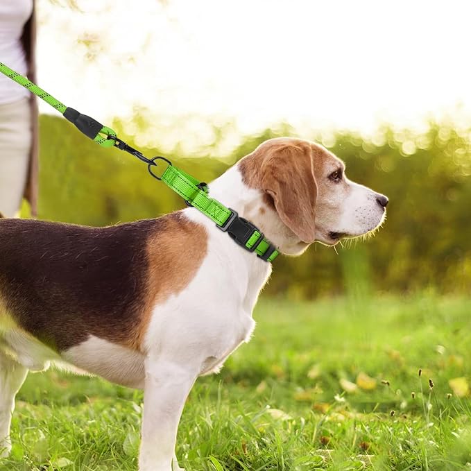 Martingale Collar for Dogs with Quick Release Buckle, Reflective Soft Padded & Escape Proof, Adjustable Nylon Dog Collars for Training & Daily Walking (Green,M)