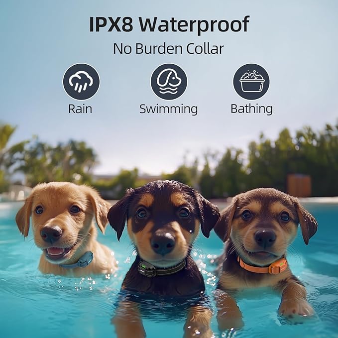 Jugbow Dog Training Collar for 3 Dogs – 4200FT Training Collars with Remote, Rechargeable IPX8 Waterproof E-Collars for Small, Medium & Large Dogs (5-120 lbs)