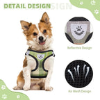 KOOLTAIL Dog Harness and Leash Set for Small Medium Dogs, Step in No Pull Soft Mesh Dog Harness Comfort Padded Pet Vest, Adjustable Reflective Easy Walking Puppy Cats Harness Training, Plaid Green XS