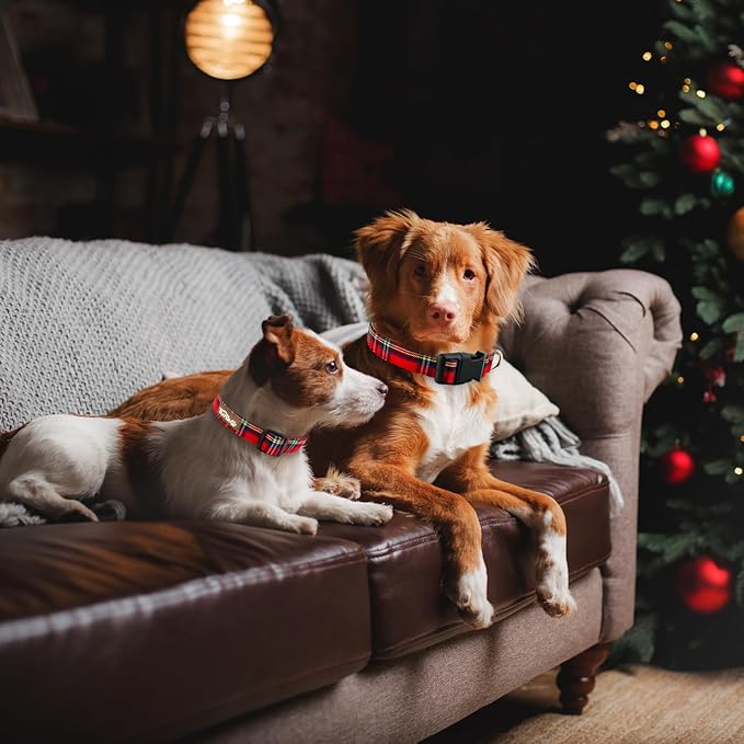 Tunkoo Christmas Plaid Dog Collar, Cute Adjustable Red Collar for Boy and Girl Dogs, Dog Collar with Strong Plastic Buckle - for Small Medium Large Pets, S