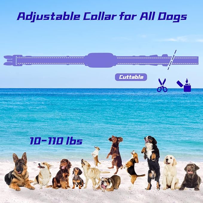 Electronic Training Collar Dog Collar with 3300Ft Remote Range 4 Training Modes Rechargable IPX7 Waterproof Electric Dog Collar with Remote for Large Medium Small Dogs