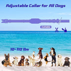 Electronic Training Collar Dog Collar with 3300Ft Remote Range 4 Training Modes Rechargable IPX7 Waterproof Electric Dog Collar with Remote for Large Medium Small Dogs
