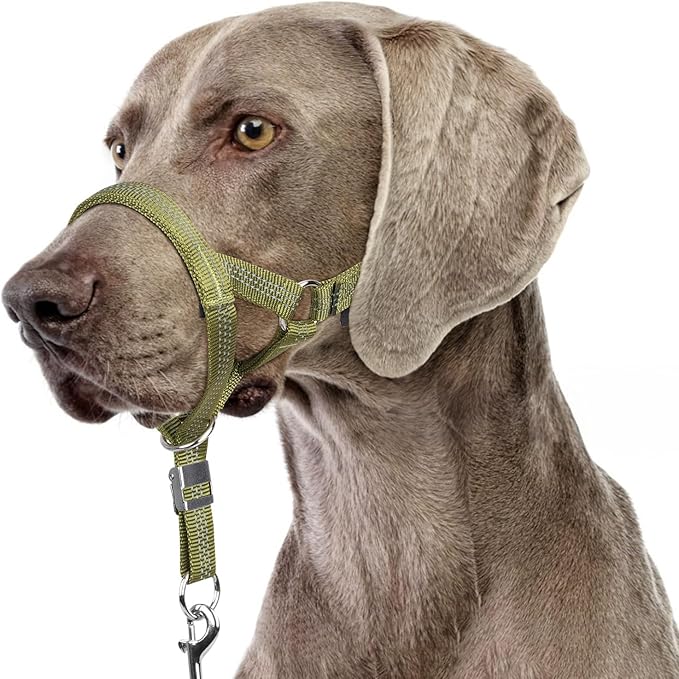 BARKLESS Sturdy No Pull Head Collar for Medium Large Dogs, Gentle Reflective Head Halter with Safety Link, Adjustable Nylon Dog Training Muzzle Leash for Walking Control (Green, M)