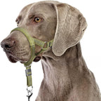 BARKLESS Sturdy No Pull Head Collar for Medium Large Dogs, Gentle Reflective Head Halter with Safety Link, Adjustable Nylon Dog Training Muzzle Leash for Walking Control (Green, XXL)
