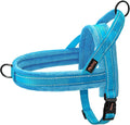 Didog Soft Flannel Padded Dog Vest Harness, No Pull/Quick Fit Reflective Dog Strap Harness, Easy for Training Walking (XXS:Chest 12-15", Blue)