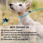 Martingale Dog Collar, 5/16” High-Strength Nylon Rope Slip Collar with Spring-Loaded Adjustable Stopper for Small, Medium & Large Dogs(Black, 22 inch with 2 stoppers)