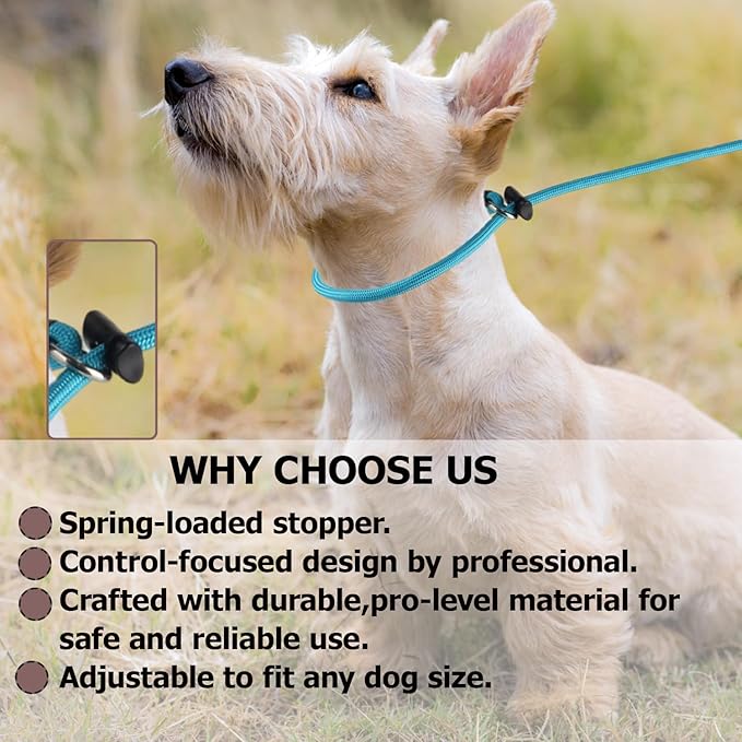 Martingale Dog Collar, 5/16” High-Strength Nylon Rope Slip Collar with Spring-Loaded Adjustable Stopper for Small, Medium & Large Dogs(Light Purple, 22 inch)