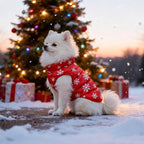 Idepet Pet Dog Cat Coat with Leash Anchor Color Patchwork Padded Puppy Vest Jacket Teddy Chihuahua Costumes Pug Cloth XS S M L(Large,Red-Snowflake)