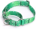 Serijoars Adjustable Martingale Dog Collar Heavy Duty Nylon Dog Collar for Medium Large Dogs Walking Training Boy and Girl Dogs (NO3, M)
