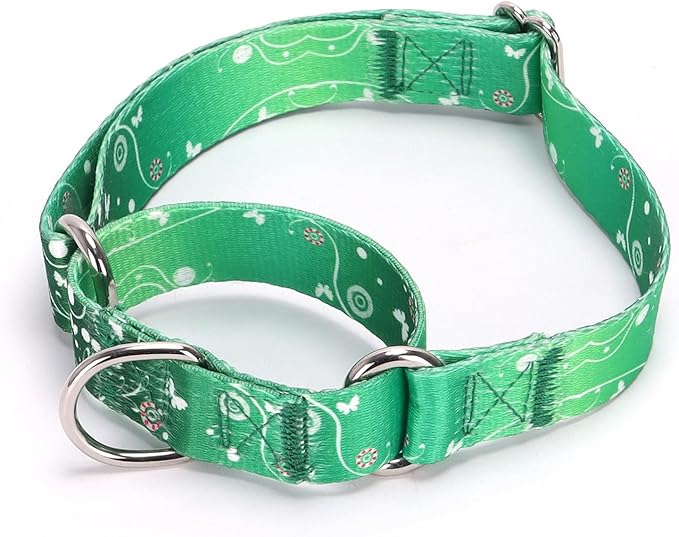 Serijoars Adjustable Martingale Dog Collar Heavy Duty Nylon Dog Collar for Medium Large Dogs Walking Training Boy and Girl Dogs (NO3, M)