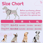 Eagloo Dog Harness Small Sized, Easy Wearing with 3 Buckles, Adjustable No Pull Pet Harness with 2 Rings for Walking, No Chock Reflective Soft Padded Vest with Control Handle, Pink & Black, S