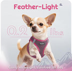 Eagloo Small Dog Harness and Leash Set, Step in Puppy Vest with Breathable Soft Mesh, Walking Reflective Pet Harness for Small Dogs, Rose Red, XS