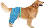 HDE Dog Swim Trunks Hawaiian Board Shorts Beach Pool Swimsuit for XS to XXL Dogs Glowing Sea Creatures - XXL