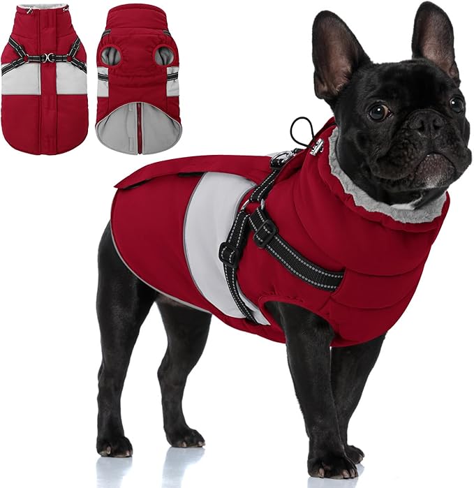 KOESON Dog Coat, Warm Dog Winter Jacket with Harness, Waterproof Pet Cold Weather Coats with Fleece Lining, Reflective & Windproof Snowsuit Sweater for Schnauzer, Yorkshire, Dachshund, Burgundy S