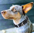 Martingale Collar for Dogs - Reflective Nylon, No Slip Choke Heavy Duty Collar with Quick Release Buckle- Safe Fit for Training & Walking Black L