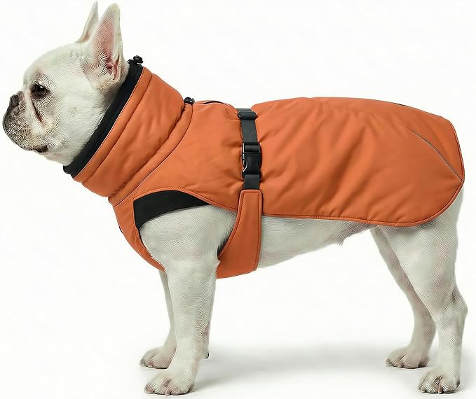 Dog Winter Coat, Warm Puffer Jacket with Fur-Safe Buckle & Leash Hole for Cold Weather, Water-Repellent Snow Vest, Breathable Thermal Apparel for Hiking & Active Dogs (Aurantium, X-Small)