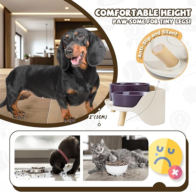 Raised Dog Feeder Bowl Stand - Elevated Dining Table for Small and Medium Dogs and Cats - Fits Food and Water Dish up to 6" Diameter - Milky White (Bowls Not Included)
