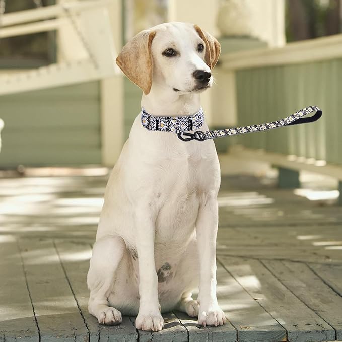 Martingale Collar and Leash Set, Premium No Slip Martingale Collar for Dogs Medium Large, Girl Dog Collars Training (NO32, M)