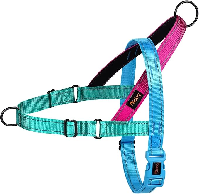 Didog No Pull Dog Harness with Soft Padded Handle, Quick Fit & Lightweight Adjustable Vest Harness, Easy for Training Walking for Small & Medium and Large Dogs(Blue,S)