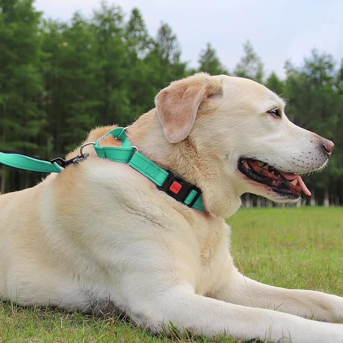 Joytale Martingale Collar for Dogs, Reflective Heavy Duty for Safety, Quick Release Buckle, Adjustable Nylon Collars for Large Dogs Walking Training, Teal,L