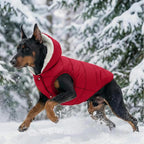 Fleece Hoodie, Windproof Waterproof Coat, Winter Warm Jacket for Dogs - Cold Weather Pet Apparel Clothes Vest for Small Medium Large (2XL, Red)