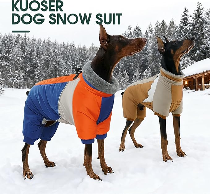 Kuoser Fullbody Dog Coat - Large Dog Winter Coat with Built-in Harness, Reflective Jacket, Snowsuit for Shiba Inu, French Bulldog (Blue XL)