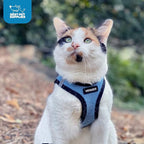 Best Pet Supplies Voyager Step-in Air Harness - All Weather Mesh, Reflective, No Pull Harness for Dogs, Cats - Secure with Hook & Loop Fastener, Buckle, Double D-Rings - Baby Blue/Black Trim, XS