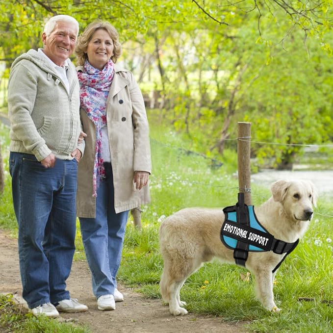 voopet Service Dog Harness, Emotional Support Pet Vest Harness, Reflective Breathable and Adjustable No-Pull ESA Dog Harness for Small Medium Large Dogs (with 4 PCS Removeable Tags)
