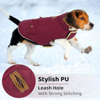 Queenmore Dog Winter Coat Warm Puffer Jacket Waterproof Plush Lining Thermal Cold Weather Vest for Small Medium Large Dogs, Windproof Easy On Pet Jacket Burgundy M