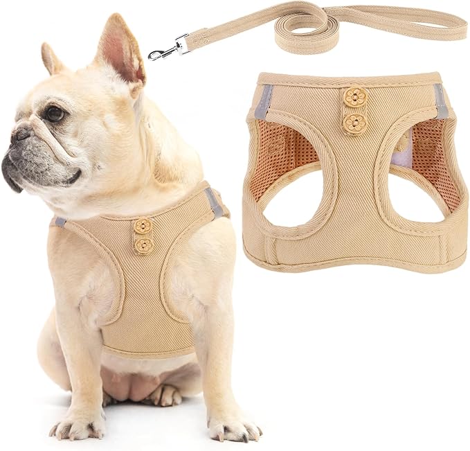 PUPTECK Dog Harness and Leash Set for Small Medium Dogs No Pull Step-in Soft Mesh Puppy Cat Vest Harnesses Reflective at Night, Denim Burlywood S