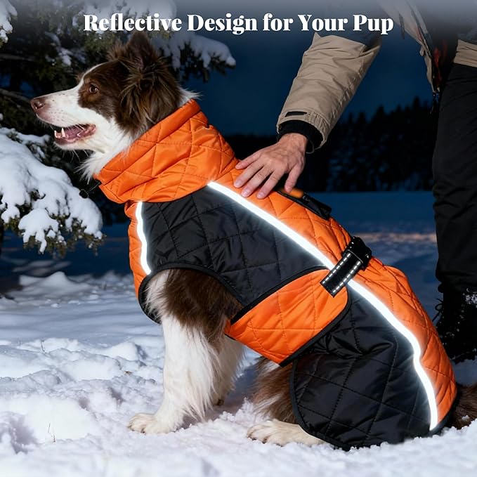 Dog Coat Dogs Jacket Waterproof Reflective Adjustable Dog-Winter Coats for Small/Medium/Large Dogs Dachshund Coat-(Orange, X-Large)