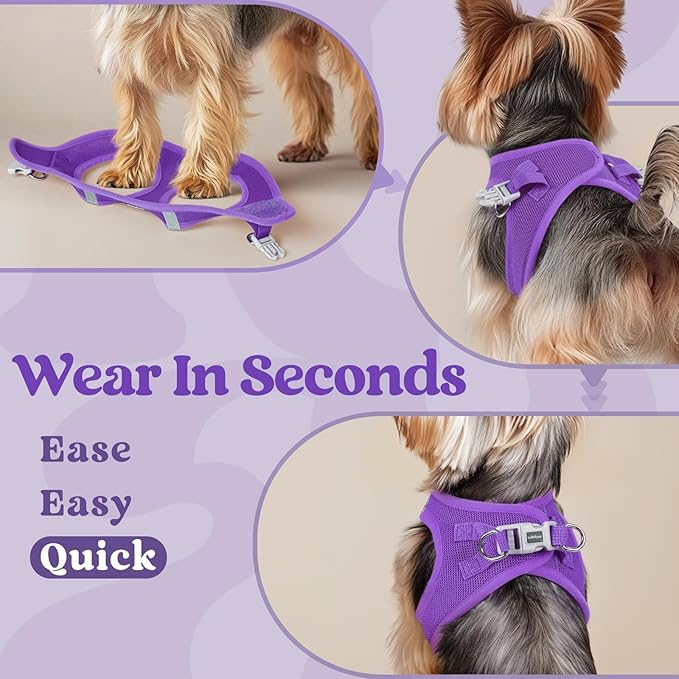 rabbitgoo Small Dog Harness, Step-in Soft Mesh Puppy Vest with Safety Buckle, Breathable Reflective Pet Harness for Extra Small Dogs, Purple XXS