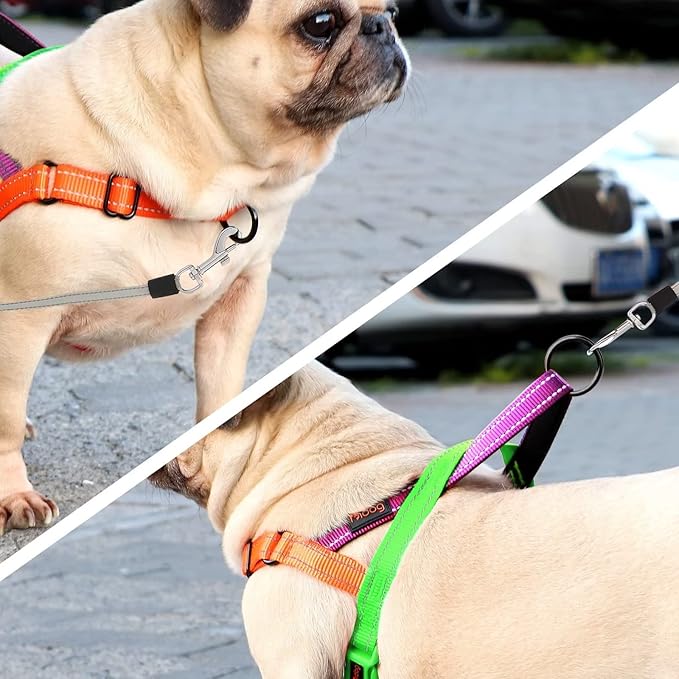 Didog No Pull Dog Harness with Soft Padded Handle, Quick Fit & Lightweight Adjustable Vest Harness, Easy for Training Walking for Small & Medium and Large Dogs(Green,S)