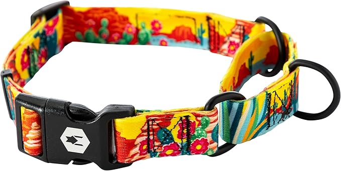 Wolfgang Heavy Duty Martingale Dog Collar with Quick Release Nylon Buckle for Walking & Training, PackLeader Print, Small