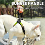 PUPTECK No Pull Dog Harness Small Sized Dog, Adjustable Reflective Pet Vest Harness with Bungee Handle, Escape Proof No Choke Harness for Small Dogs Walking Training, Black XS