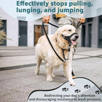 BARKLESS Sturdy No Pull Head Collar for Medium Large Dogs, Gentle Reflective Head Halter with Safety Link, Adjustable Nylon Dog Training Muzzle Leash for Walking Control (Black, XXL)