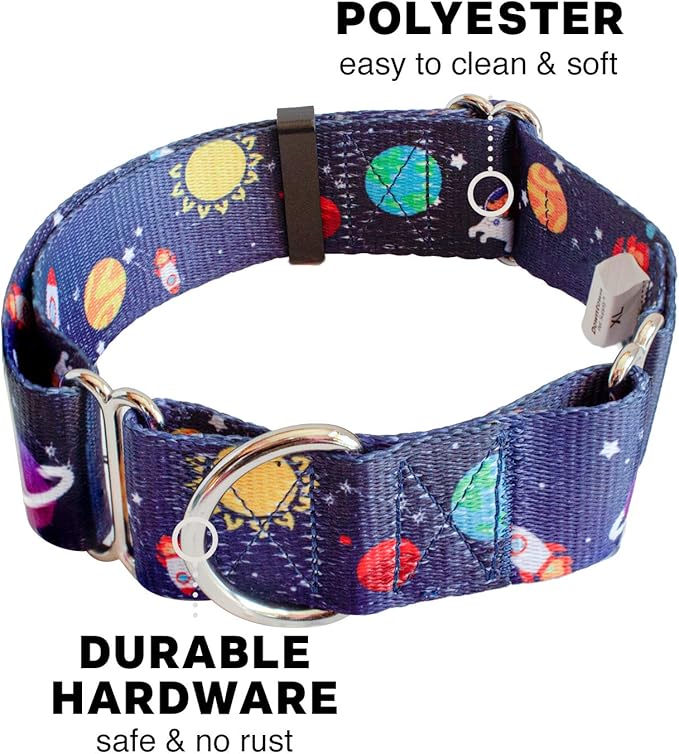 Downtown Pet Supply - Martingale Collar for Dogs - Dog Training Collar - Big, Wide & Thick Dog Collar - Escape-Proof, Weatherproof, Durable and Comfortable - Space - Small Dog Collar