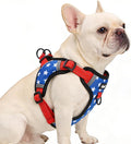 PUPTECK No Pull Dog Harness Small Sized Dog, Adjustable Reflective Escape Proof Easy Control, Comfortable Soft Padded Step in Pet Vest Harness, Blue Stars, M