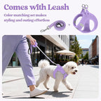 rabbitgoo Dog Harness Small Sized and Leash Set, Step in Soft Light Puppy Vest, Breathable Mesh Pet Harness, Reflective for Safe Easy Walking, Light Purple S
