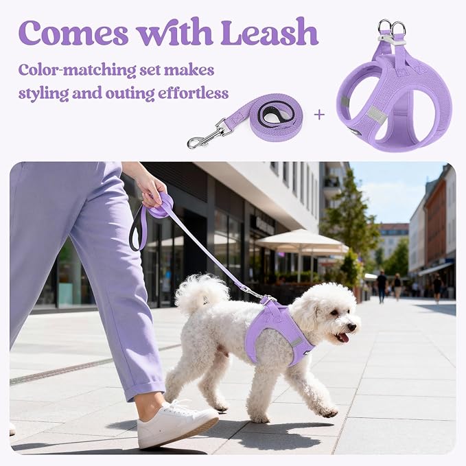 rabbitgoo Dog Harness Small Sized and Leash Set, Step in Soft Light Puppy Vest, Breathable Mesh Pet Harness, Reflective for Safe Easy Walking, Light Purple XS