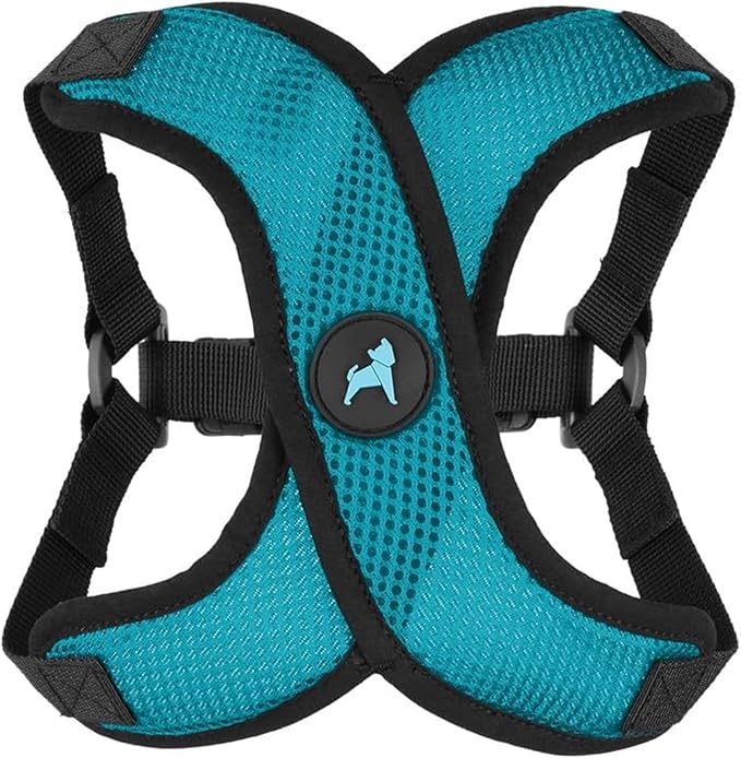 Gooby Comfort X Step in Lite Dog Harness - Choke Free, Escape Free with Light Breathable Mesh - Step in Dog Harness for Small Dogs Only - Quick Release Buckle, Metal D-Rings - Turquoise, Large