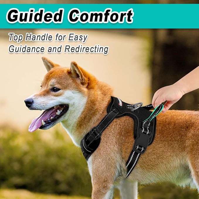 BARKBAY Dog Harness No Pull Mesh for Medium Dogs - Adjustable, Reflective, Comfortable, No Choke, Heavy-Duty - Perfect for Outdoor Training, Walking, and Hiking - Strong & Durable - M & Black Mesh