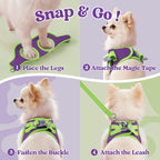 rabbitgoo Dog Harness Small Sized and Leash Set, Step-in Breathable Pet Harness, Soft Walking Reflective Puppy Vest for Small Dogs, Purple & Green, M