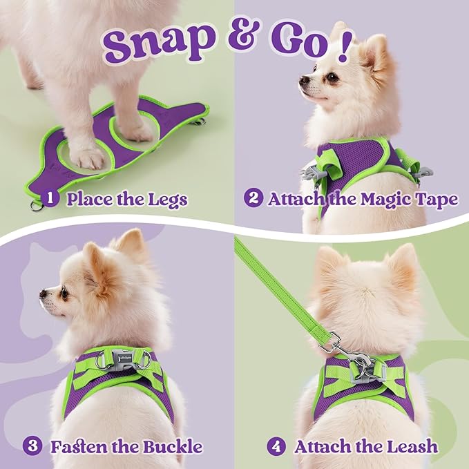 rabbitgoo Dog Harness Small Sized and Leash Set, Step-in Breathable Pet Harness, Soft Walking Reflective Puppy Vest for Small Dogs, Purple & Green, L
