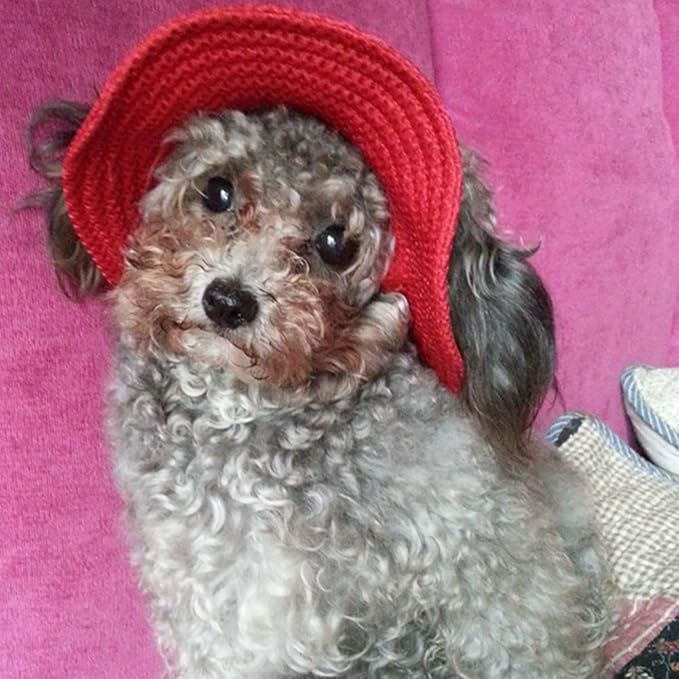 Round Brim Princess Hat Visor Hat Pet Dog Mesh Porous Sun Hat with Ear Holes for Small, Extra Small Dog Teddy, Pug, Chihuahua, Shih Tzu, Yorkshire Terriers, Papillon Red S