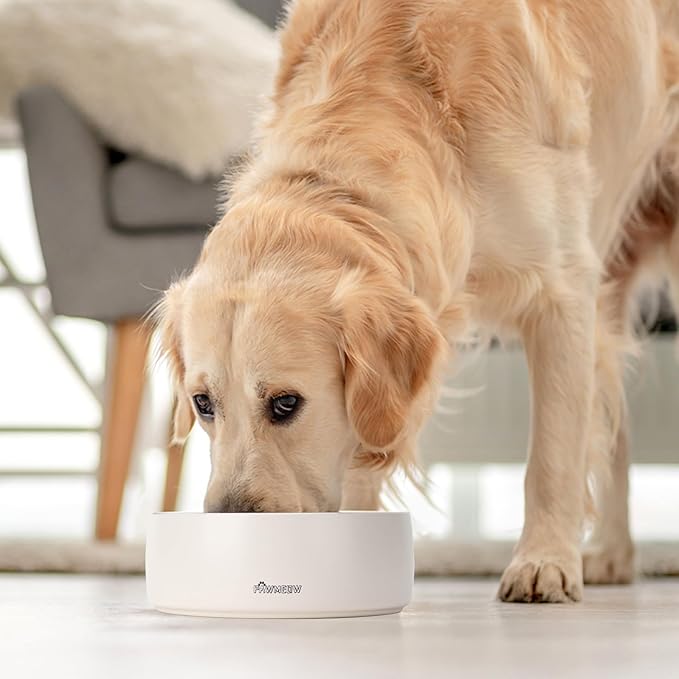 Ceramic Dog Bowls,8 Inch Large Ceramic Dog Bowl,Spill Proof, Heavy Modern Pet Feeding Bowl for Medium-Sized Dogs and Large Breed(64 oz) Beige