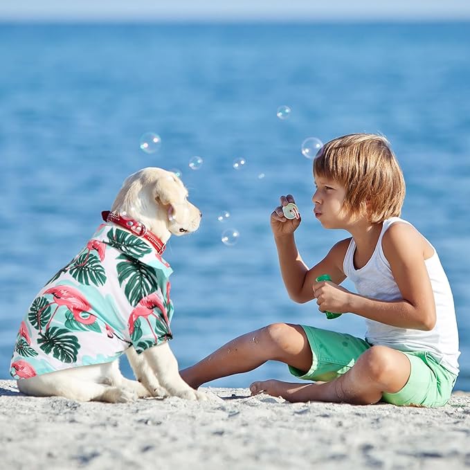 Weewooday 4 Pieces Small Pet Summer T-Shirts Hawaii Style Floral Pet Dog Shirt Breathable Cool Clothes Beach Seaside Puppy Sweatshirt for Puppy(Lovely Style,X-Large)