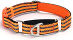 Martingale Collar for Dogs -Reflective Nylon No Slip Choke with Padded Comfort Heavy Duty Dog Collar with Quick Release Buckle for Training, Walking & Overexcited Pulling Orange M