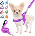 Lukovee No Pull Dog Harness and Leash Set, Soft Padded Small Dog Harness, Neck & Chest Adjustable Reflective Vest Puppy Harness with 4ft Lightweight Anti-Twist Dog Leash for Small Dogs (XS, Purple)