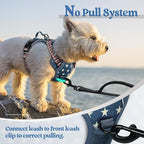 rabbitgoo Dog Harness No Pull with 2 Leash Clips, Adjustable Soft Padded, Reflective Oxford No Choke Pet Vest with Easy Control Handle for Large Dogs, Blue Star, XS